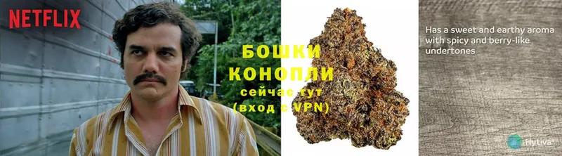 Каннабис Bruce Banner  Серафимович 